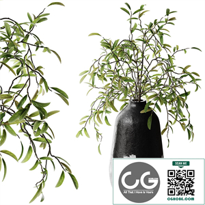 Indoor live plant / bouquet of live branches in a vase 02