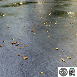 Wet asphalt with leaves. Autumn. Editable