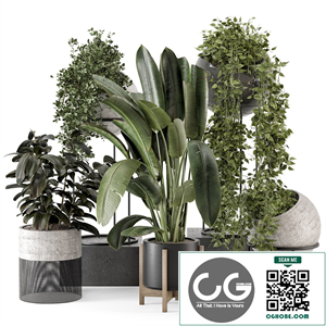 Indoor Plants in Ferm Living Bau Pot Large - Set 1853