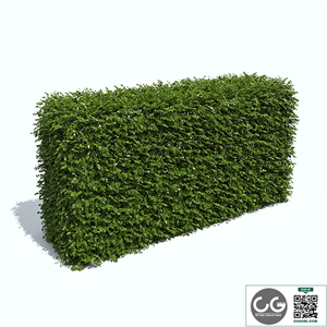 Regular hedges