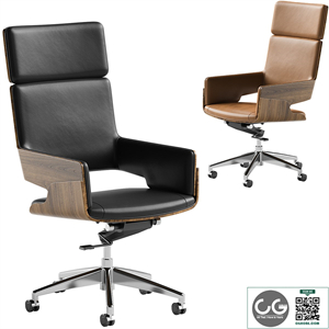 Contemporary Executive Chair