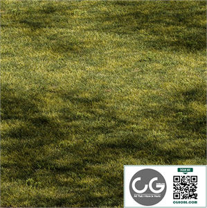 Short Grass Set 31