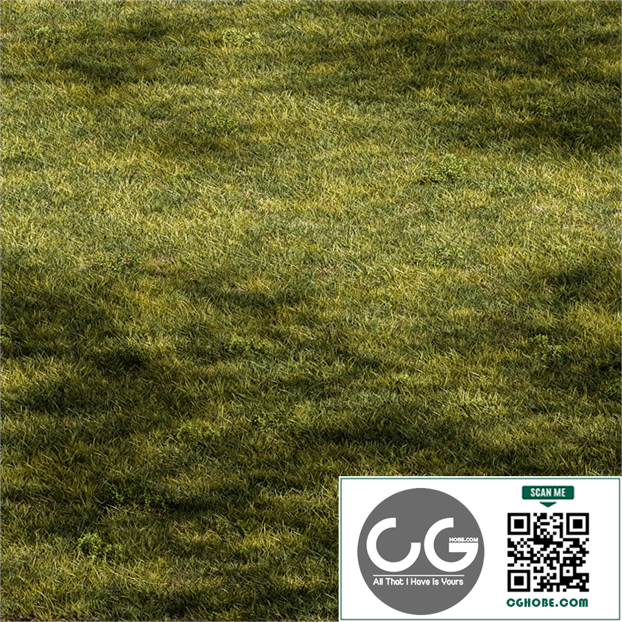 Short Grass Set 31