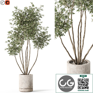 Plants collection 1061