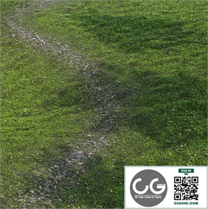 Grass with path
