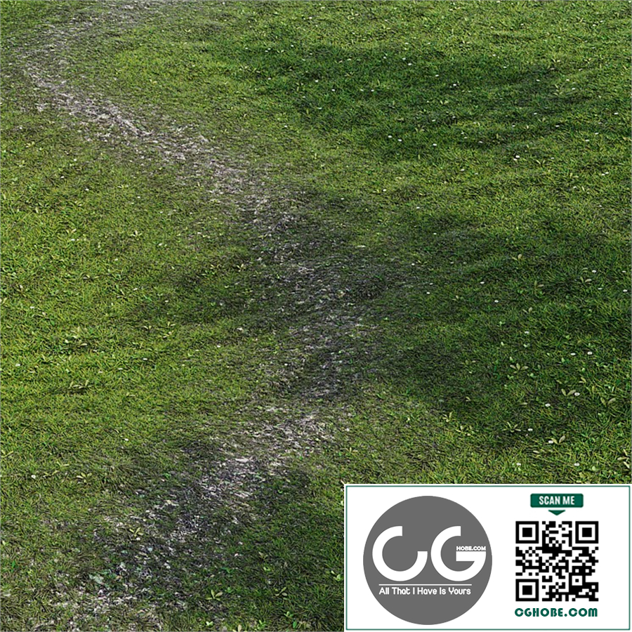 Grass with path