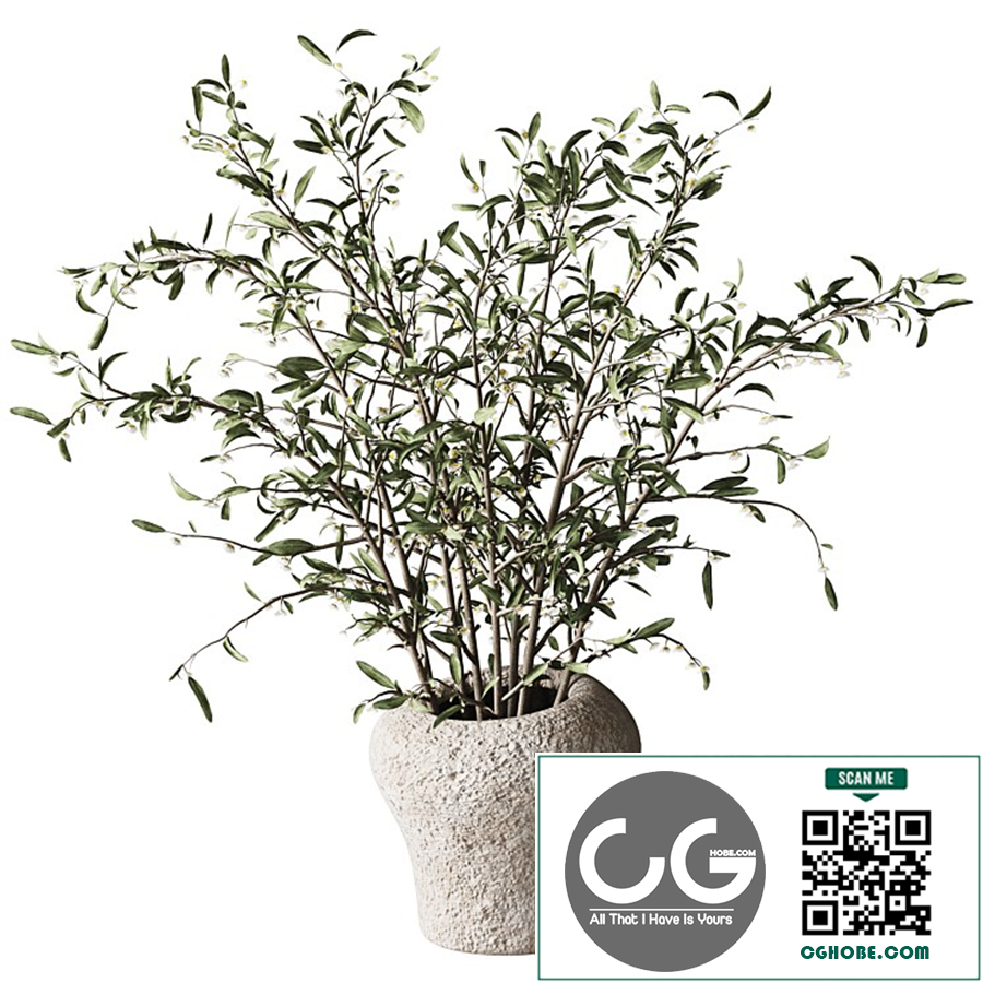 Bouquet H32