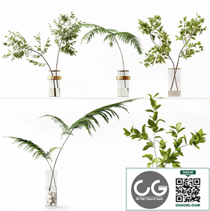 Collection Indoor Plants 058