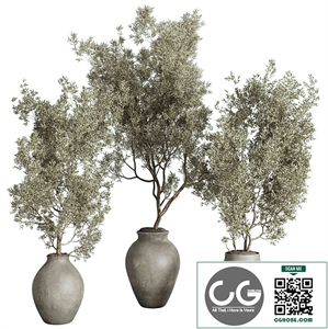 Tree Plant in a concrete vase - indoor plant set 537
