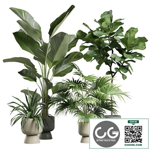 Indoor Plants Pack 73