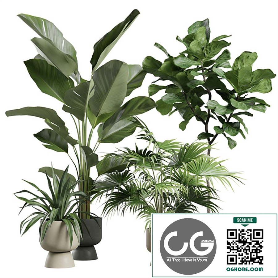 Indoor Plants Pack 73