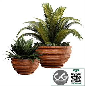Outdoor plant01