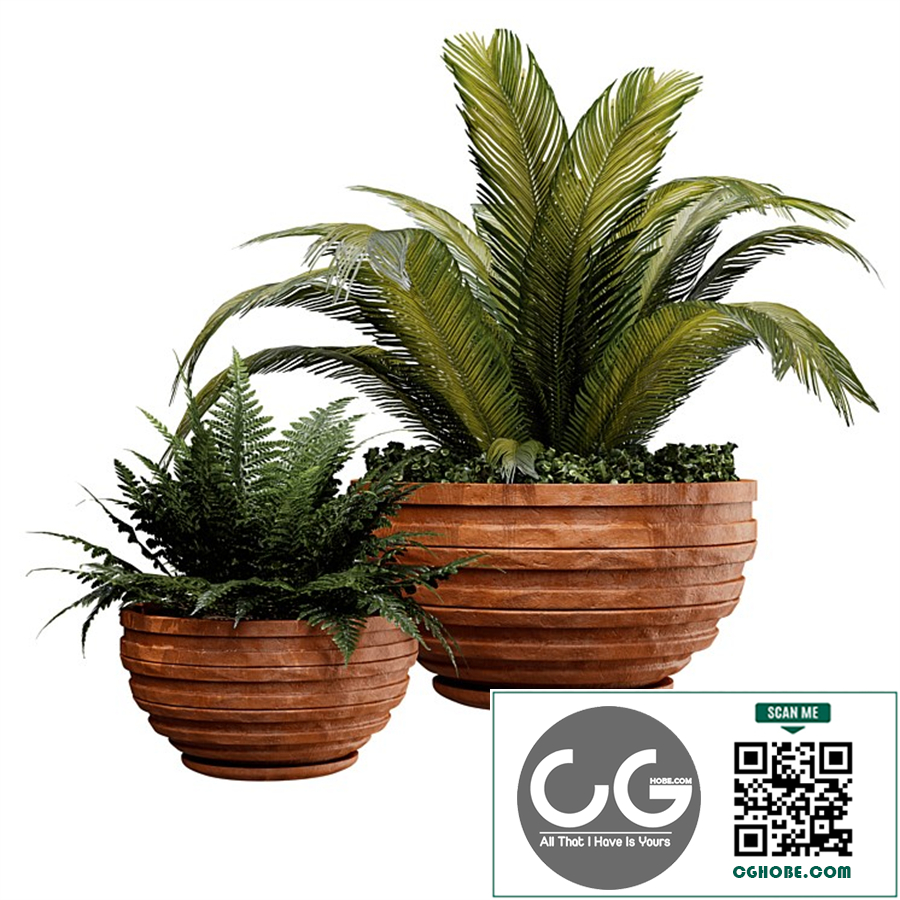 Outdoor plant01
