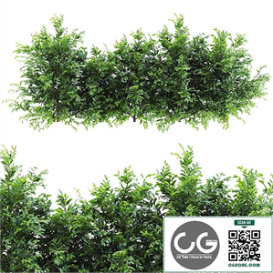  Plants_Set_151