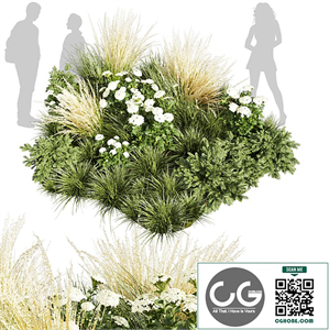 Collection plant vol 589