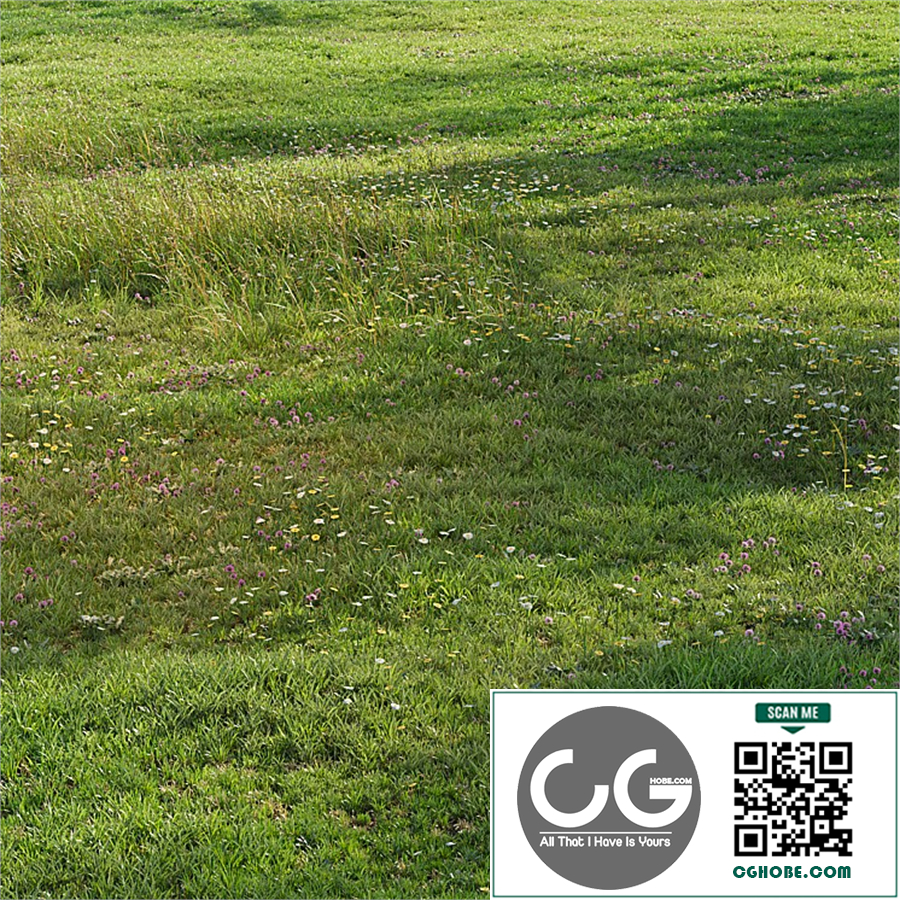 Realistic meadow grass