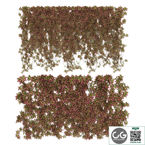 Wall of wild grapes leaves v3