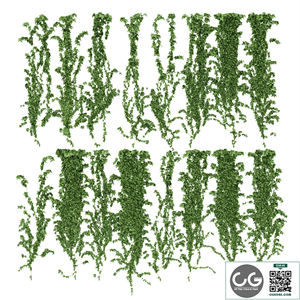 Ivy wall. 16 species