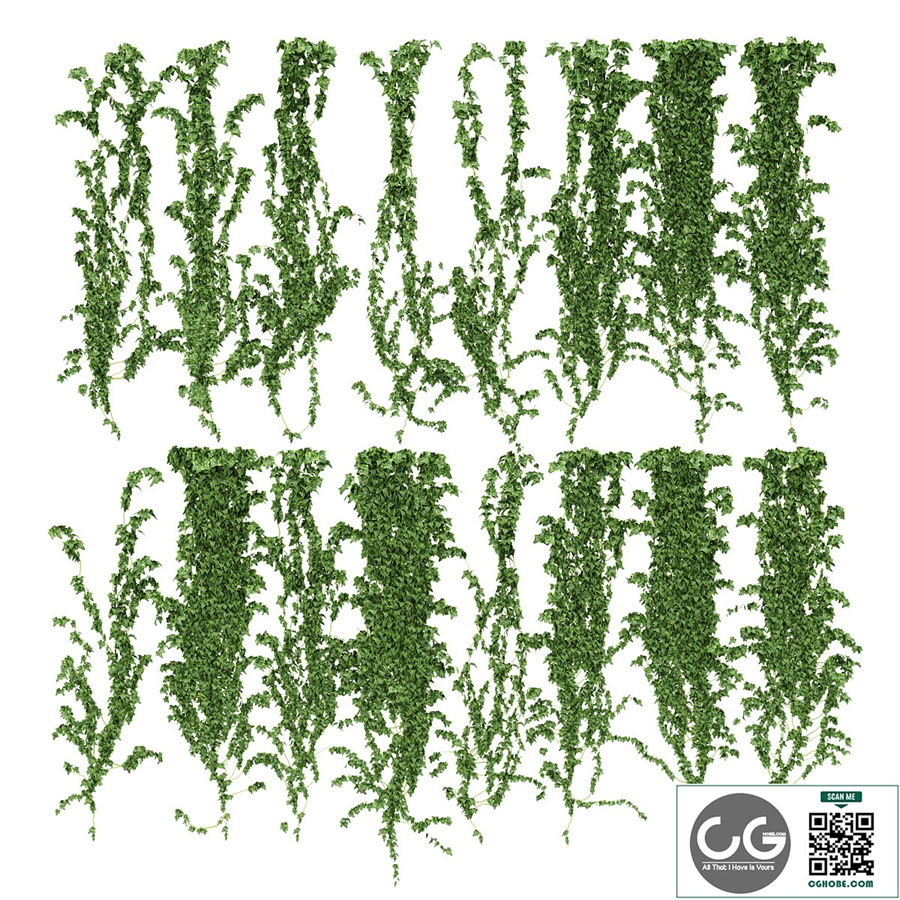 Ivy wall. 16 species