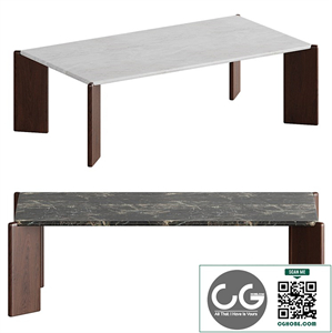Santoro Rectangular Coffee Table by CB2