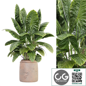 Indoor Plant Set 039