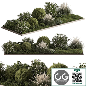 Garden Plants - Outdoor Flowers 654