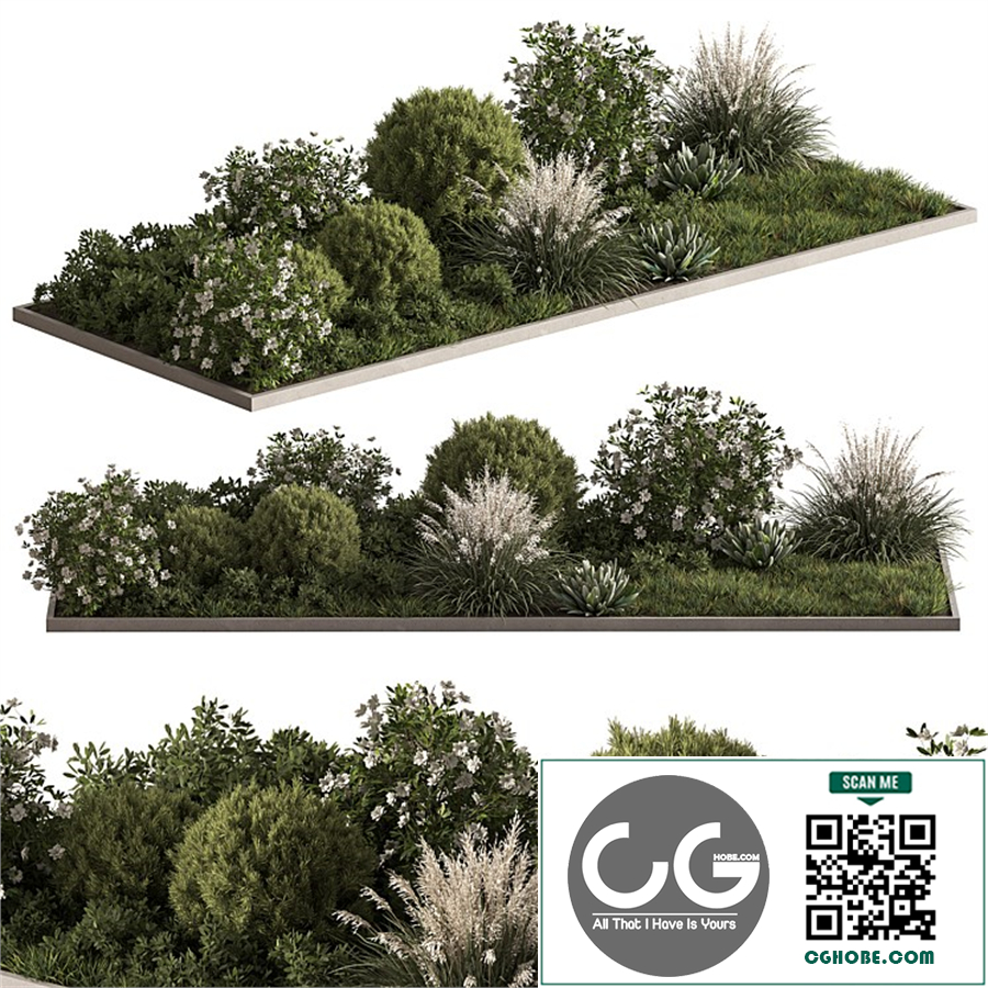 Garden Plants - Outdoor Flowers 654