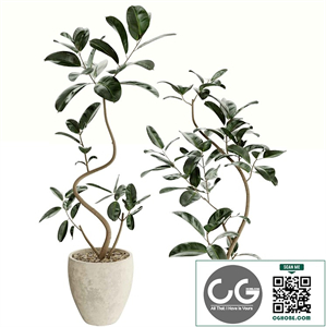 Plants set 10
