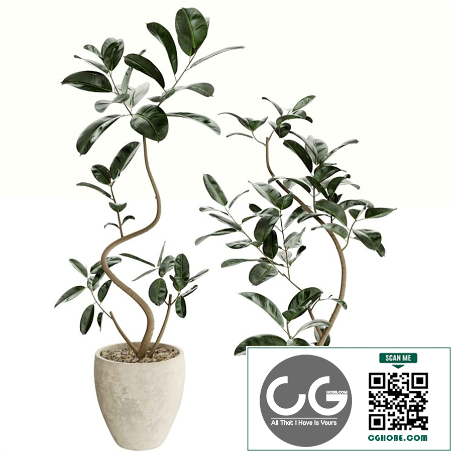 Plants set 10