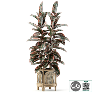 indoor plant set 03