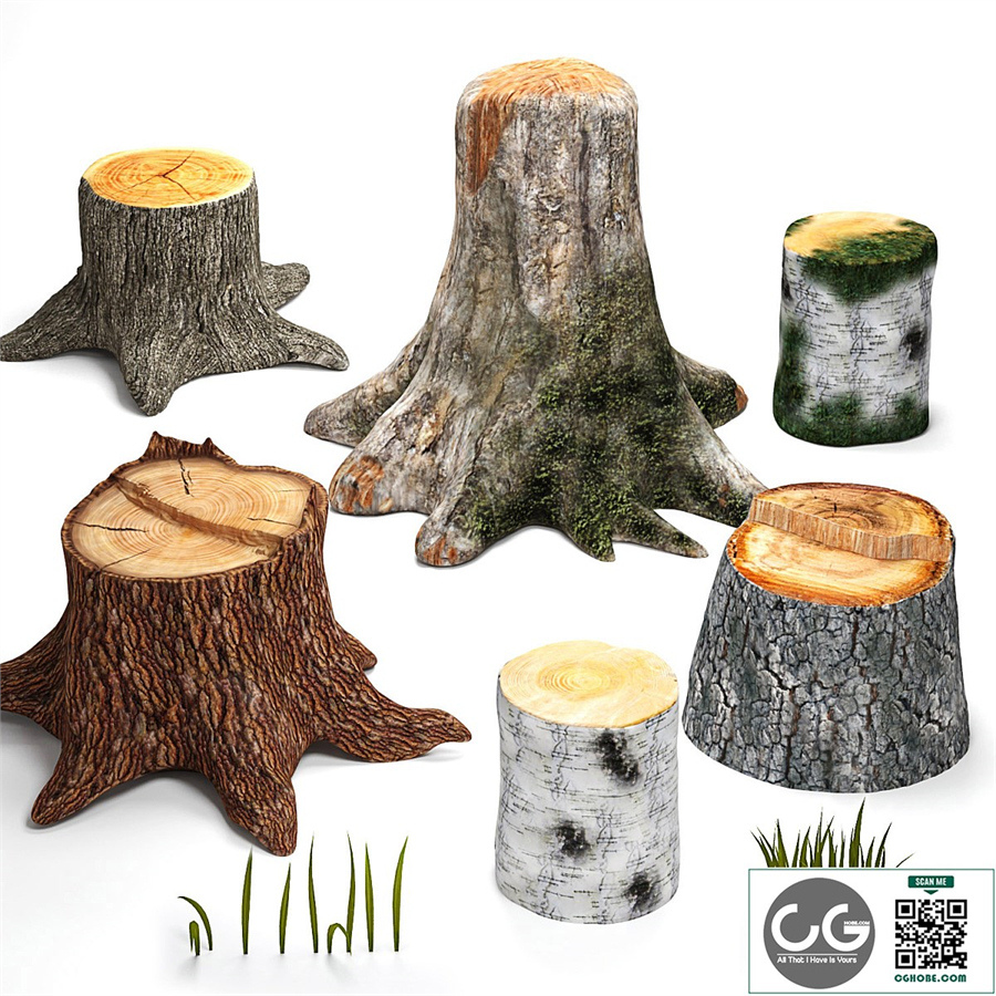Tree stumps collection & grass