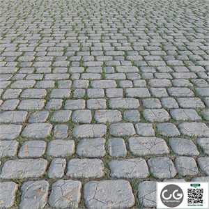 Paving Stone and Grass