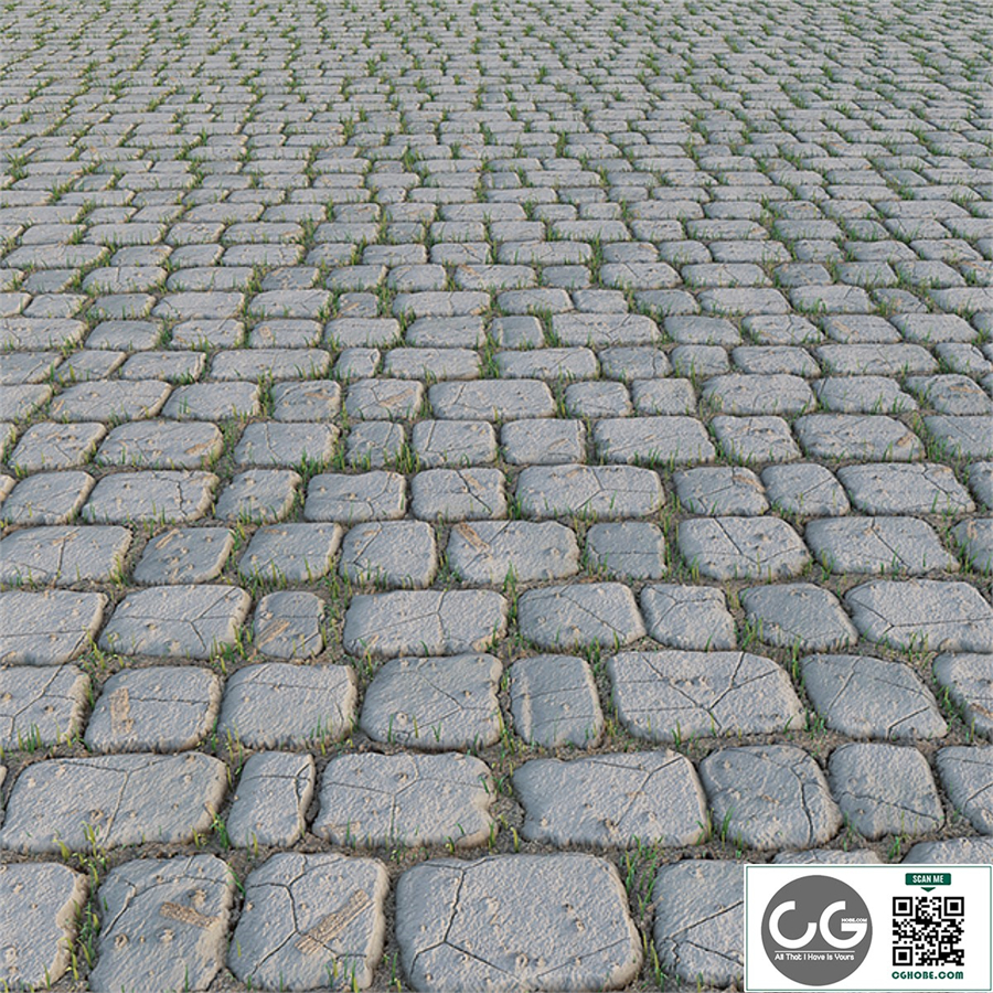 Paving Stone and Grass