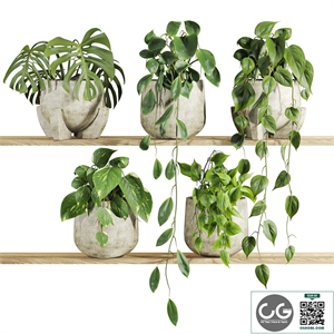 Plants Set 225