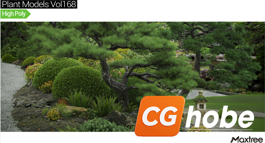 Maxtree - Plant Models Vol.168