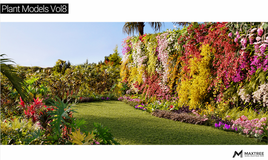 Maxtree - Plant Models Vol.8