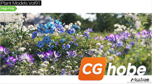 Maxtree - Plant Models Vol.91