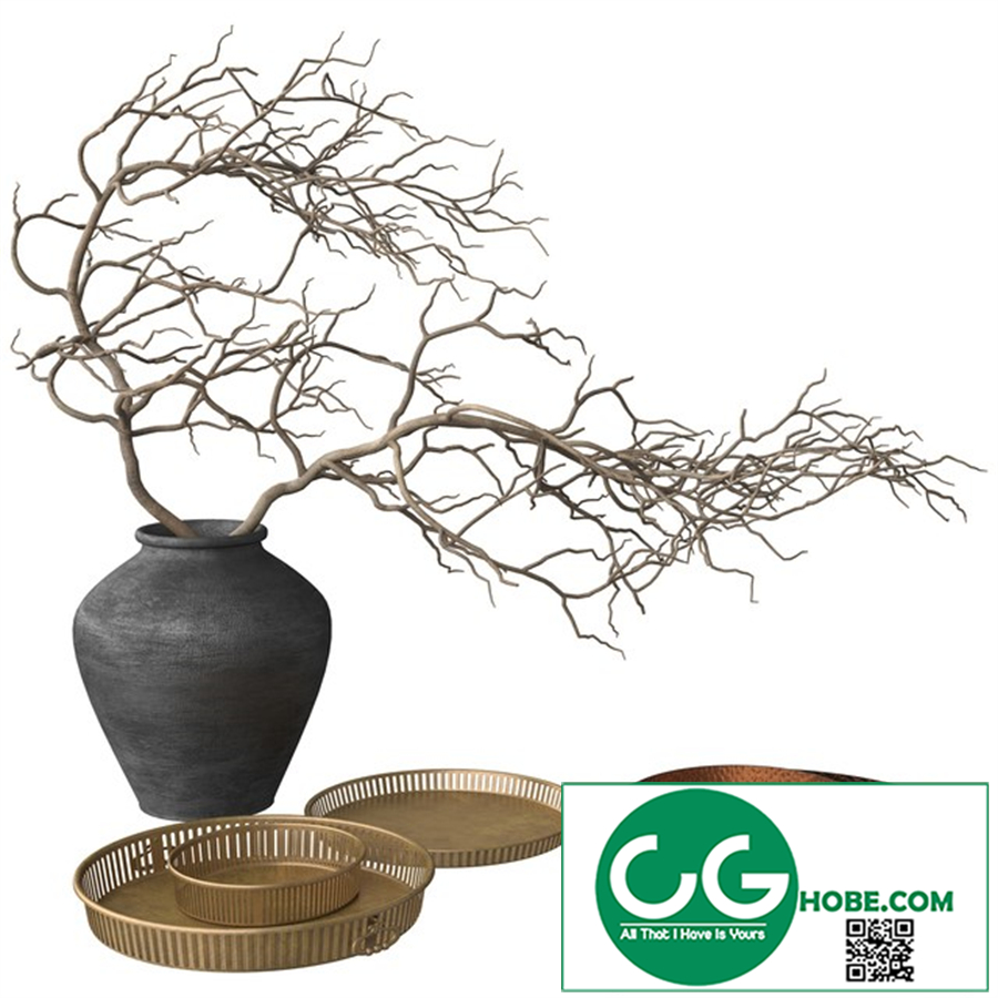 Rustic Set - Vase, Branch,