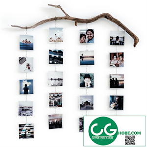 Photo branch