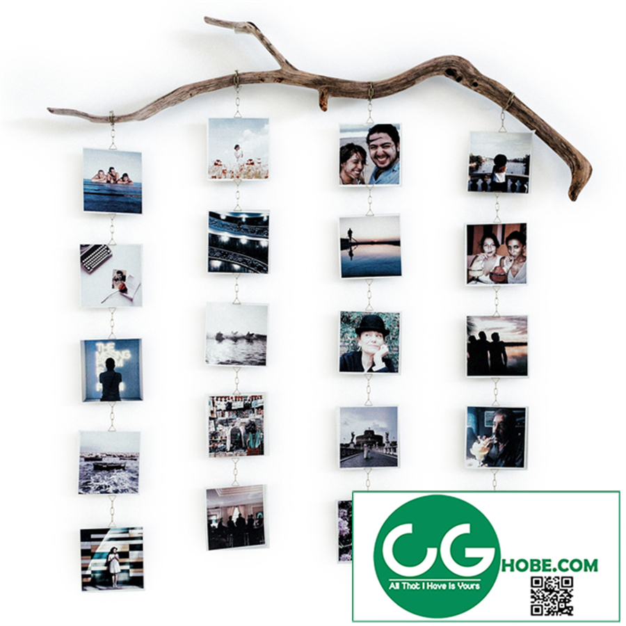 Photo branch