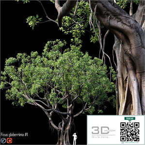 Modern Tree 3D Model