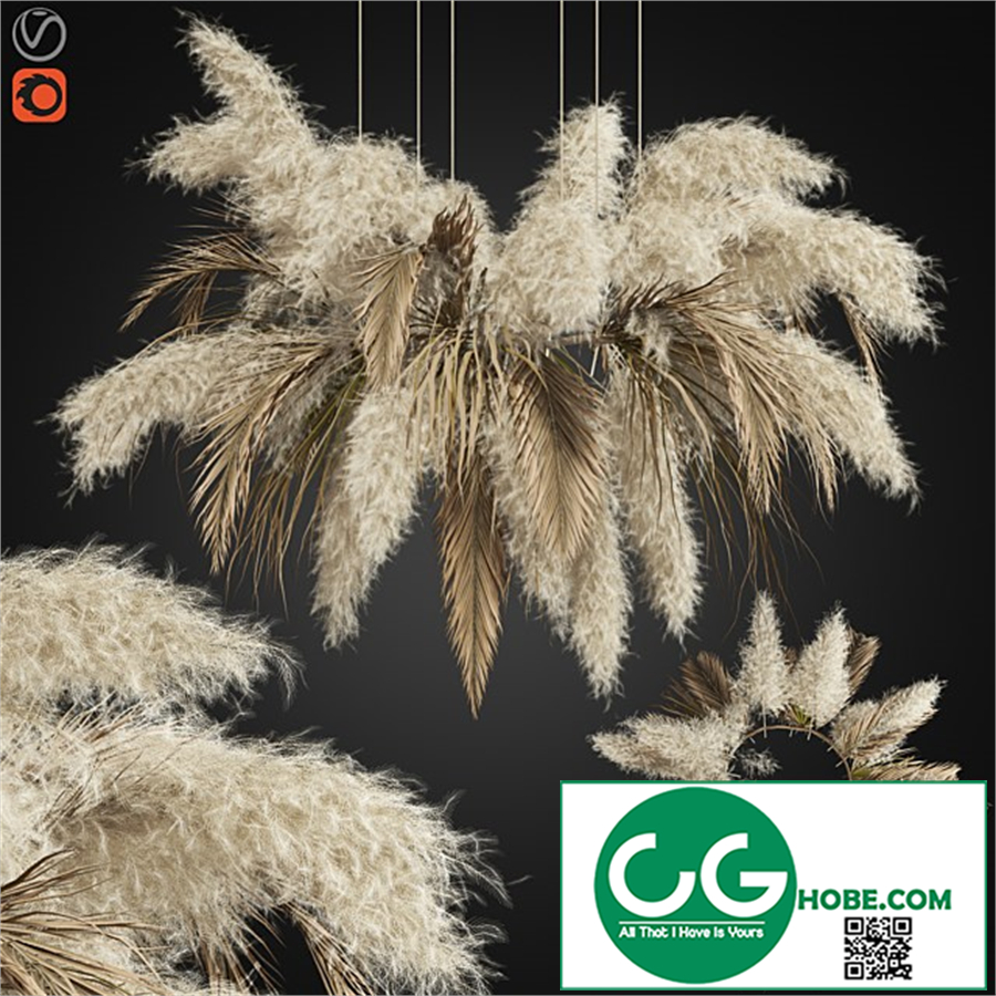 Ceiling pampas 02