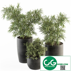 indoor Plant Set 