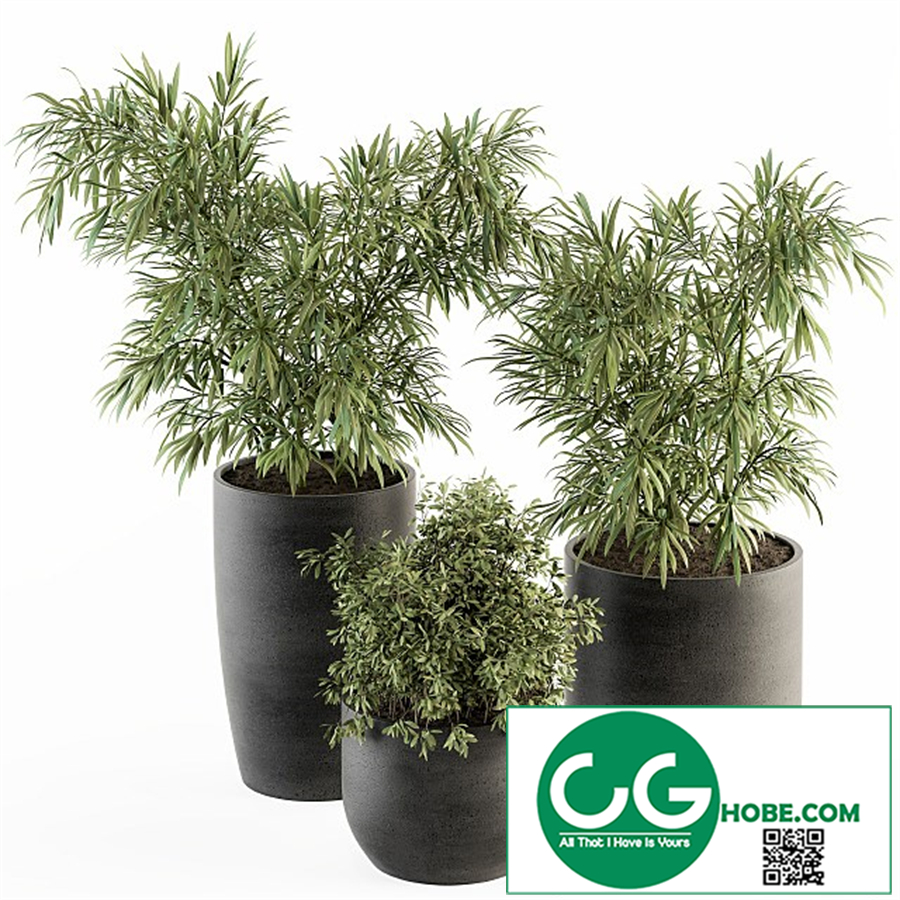 indoor Plant Set 