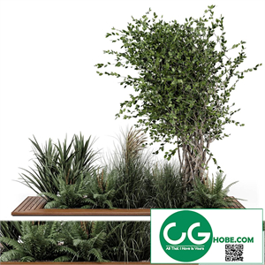Garden Set 361