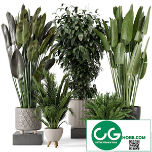 Concrete Pot