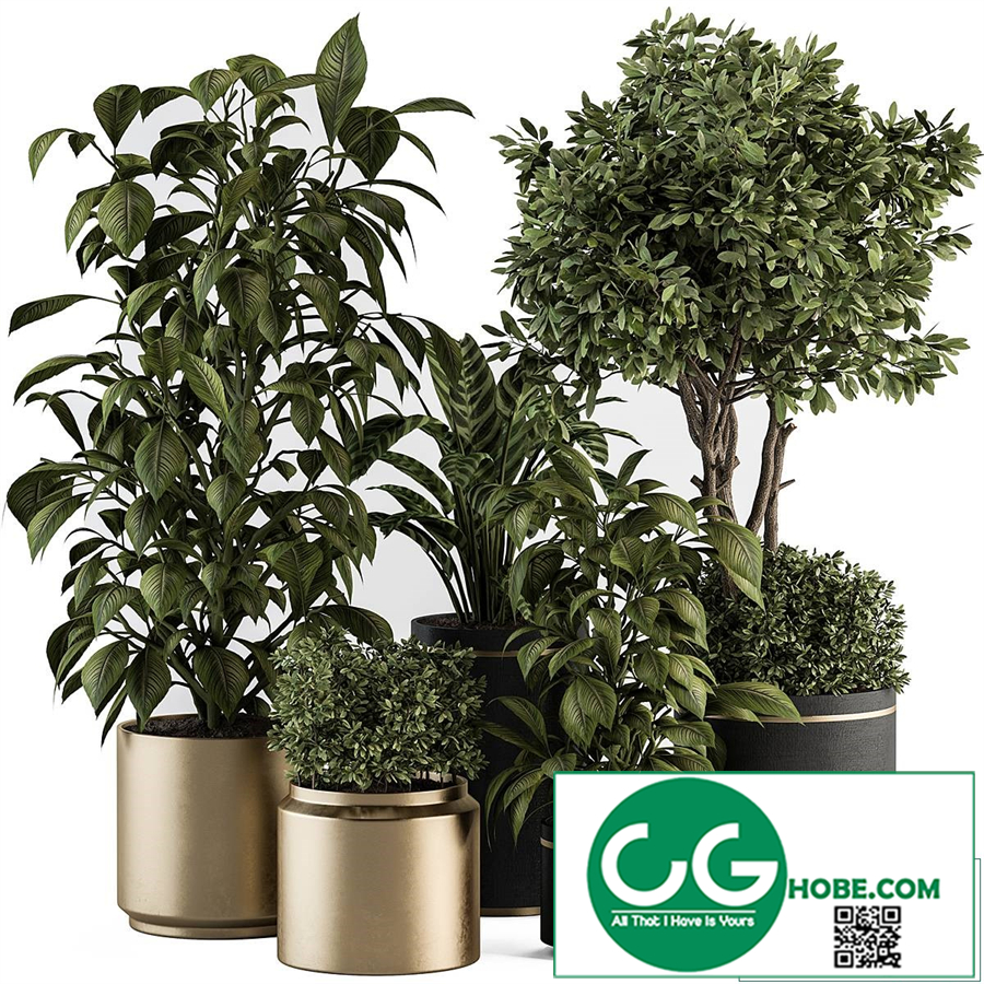 Tree and Plant Set in pot
