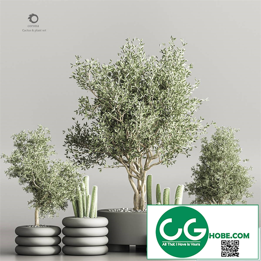 cactus & plant vol 06