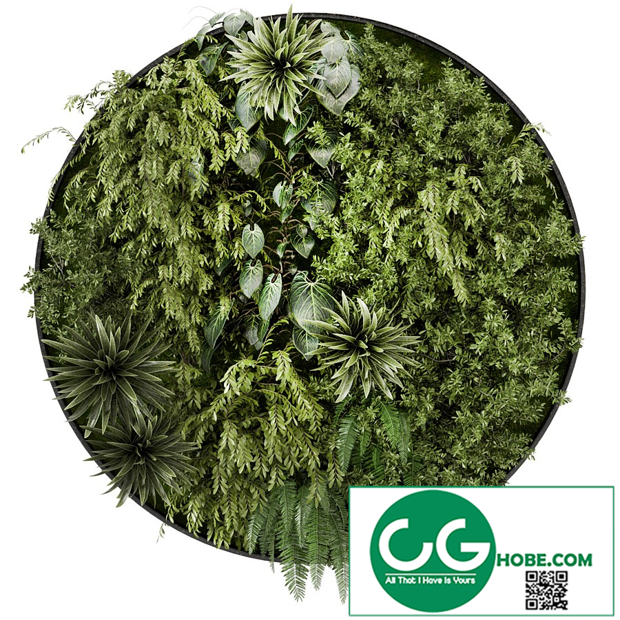 Indoor Wall Vertical Garden