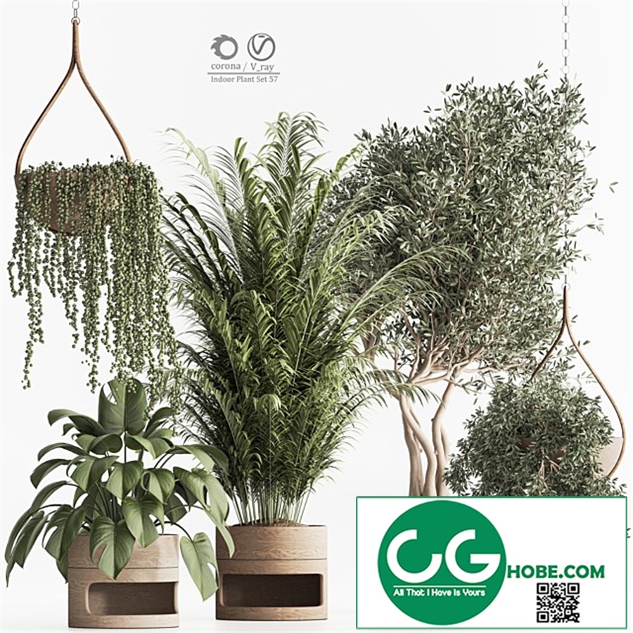 Indoor Plant Set 57